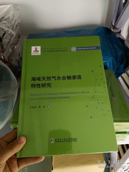 海域天然气水合物渗流特性研究（2020新能源基金）