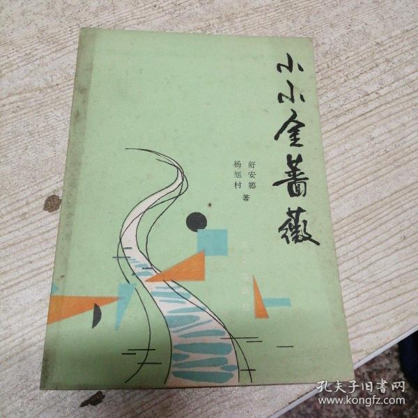 小小金蔷薇【本书是一本有关讲写作的书，借鉴巴乌斯托夫斯基《金蔷薇》写作技巧】