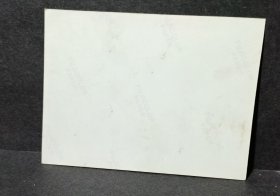 《彩色照片》（美女）⑩