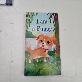 I am a Puppy 我是一只小狗