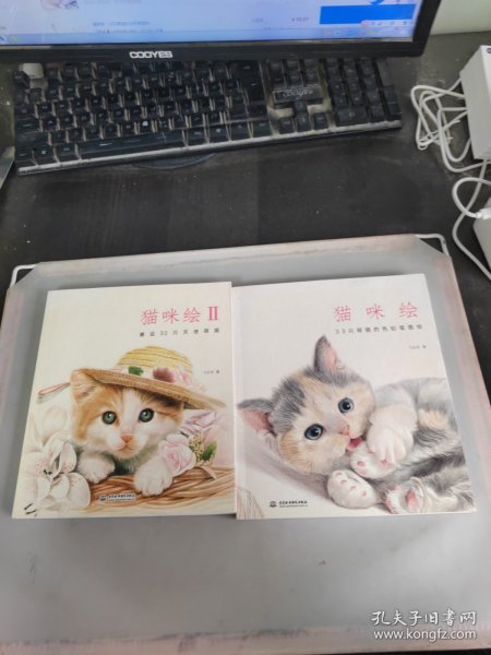 猫咪绘：33只萌猫的色铅笔图绘