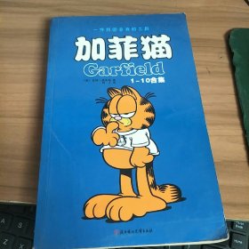 加菲猫1-10合集