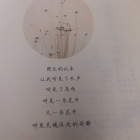 愿有岁月可回首