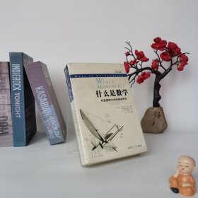 什么是数学：对思想和方法的基本研究