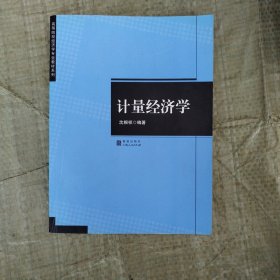 计量经济学（高等院校经济学专业教材系列）