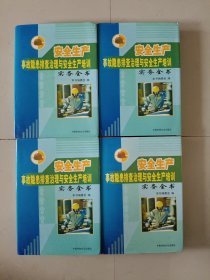 安全生产事故隐患排查治理与安全生产培训实务全书（精装全四卷—1234共四卷全套）合售