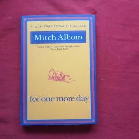 Mitch albom for one more day