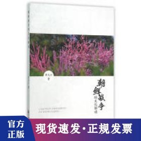 朝鮮戰(zhàn)爭的文化解讀