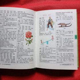 新编小学生字典