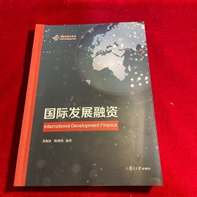 国际发展融资