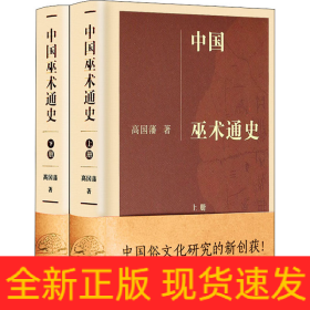 中国巫术通史(全2册)