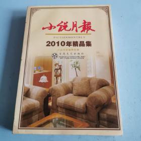 小说月报：2010年精品集