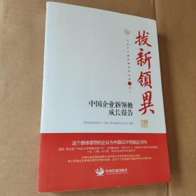 拔新领异 中国企业新领袖成长报告