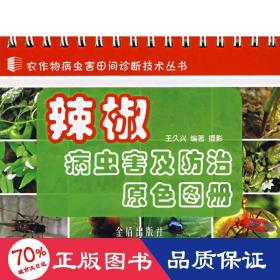 辣椒病蟲(chóng)害及治原圖冊(cè)/農(nóng)作物病蟲(chóng)害田間診斷技術(shù)叢書(shū) 種植業(yè) 王久興