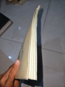 梅花磁针灸全息诊疗法资料汇编