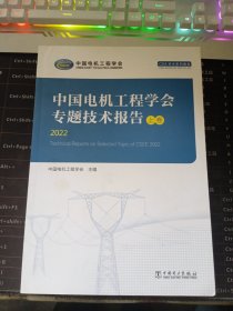 中国电机工程学会专题技术报告2022 上中下卷