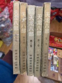 天龙八部 五册 全 安徽文艺出版社