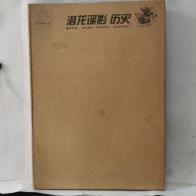 潜龙谍影历史（含两张DVD）