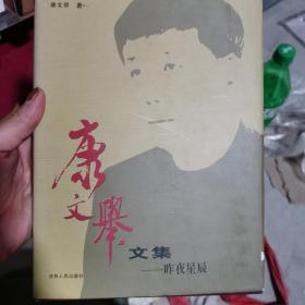 康文举文集