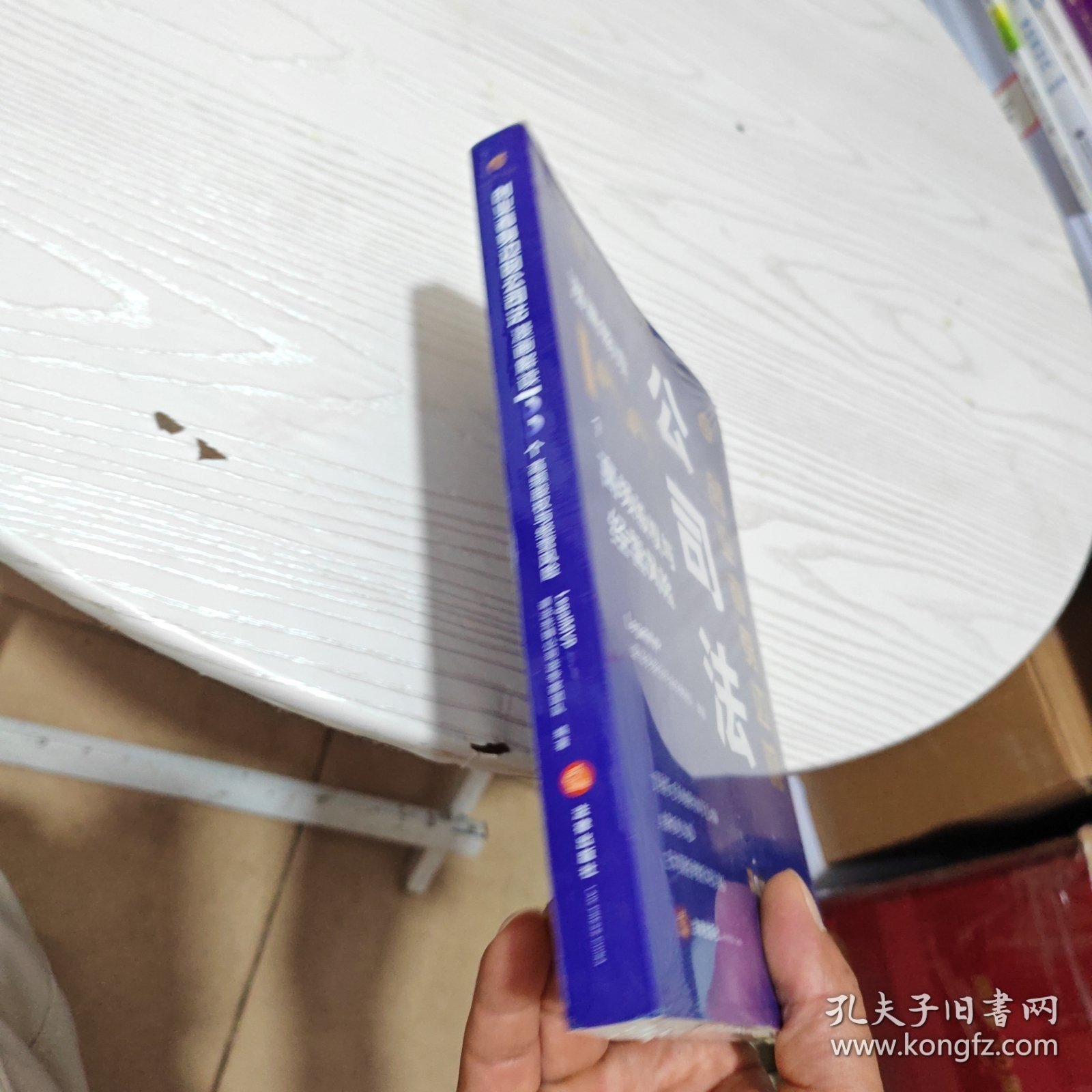 创业者身边的公 漫画解读100个高频股权与经营风险 法学理论 legalmvp谱法先锋公专家团队 编