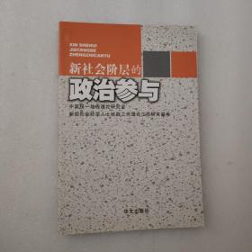 新社会阶层的政治参与