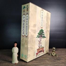 正版新书 中国盆景艺术·中国山水盆景艺术【两册合售】