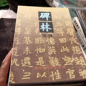 碑林集刊十五2009 十七2011 十六2010 十四2008 共四册看图