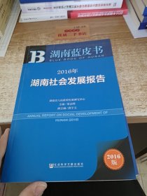 2016年湖南社会发展报告