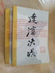 辽沈决战 上下