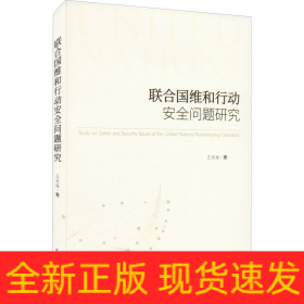 聯(lián)合國維和行動安全問題研究
