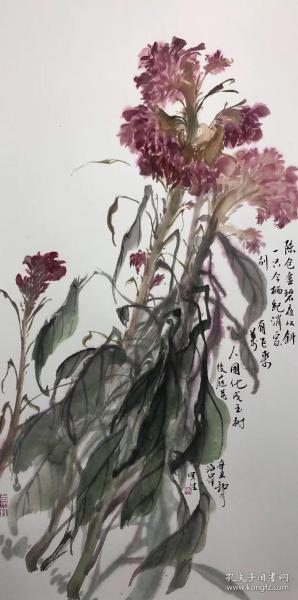 梁海岸 可合影 荷花 鸡冠花