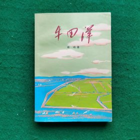 牛田洋（人民公社题材）（农村题材长篇小说）