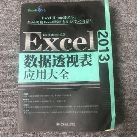 Excel 2013数据透视表应用大全