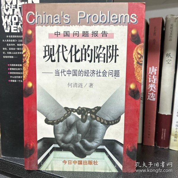 现代化的陷阱：当代中国的经济社会问题