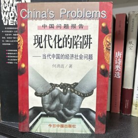 现代化的陷阱：当代中国的经济社会问题