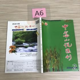 中篇小说选刊2004年2