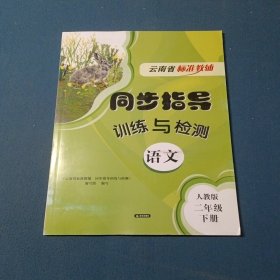 2025云南省标准教辅．同步指导训练与检测语文二年级下册人教版