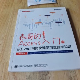 表哥的Access入门：以Excel视角快速学习数据库知识