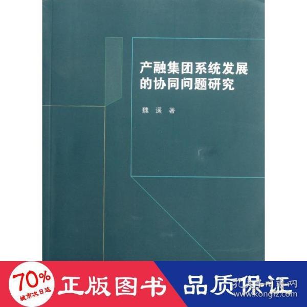 产融集团系统发展的协同问题研究