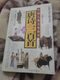 唐诗300首--中国古典文化精华