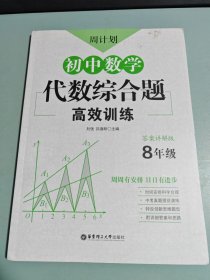 周计划：初中数学代数综合题高效训练（8年级）
