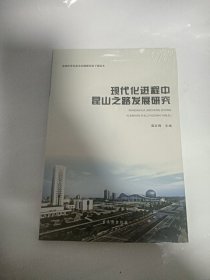 现代化进程中昆山之路发展研究