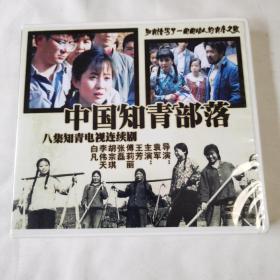 《中国知青部落》（2DVD）