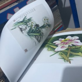 永阳书画名家作品.全4本 张一鸣。林致贵。檀遵枝。林铁肩