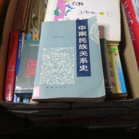 中南民族关系史