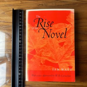 the rise of novel 英文原版