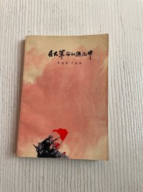 在大革命的洪流中