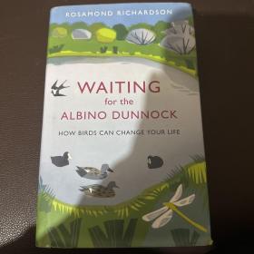 WAITINGfor the ABINODUNNOCK