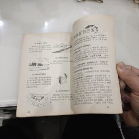 1965年农历