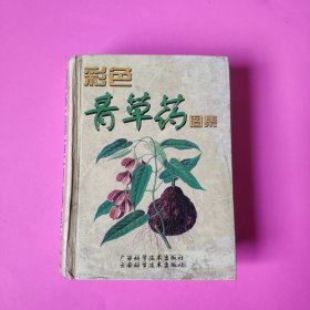 袖珍青草药彩色图谱